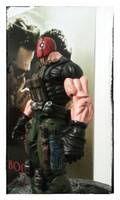 Red Hood (League of Shadows) (DC Universe) Custom Action Figure