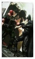 Red Hood (League of Shadows) (DC Universe) Custom Action Figure