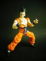 S.H Figaurts Yamcha (Dragonball Z) Custom Action Figure