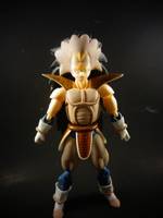 S.H Figuarts Raditz (Dragonball Z) Custom Action Figure