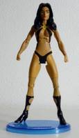 LAUREL KENT Legion of Super-Heroes Superboy Descendant (DC Universe) Custom Action Figure