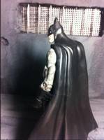 Batman (DC Universe) Custom Action Figure