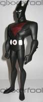 Terry McGinnis as Batman Beyond (Batman Beyond) Custom Action Figure