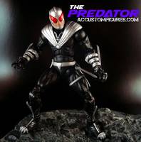 The Predator DCU (DC Universe) Custom Action Figure