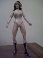 Miss Marvel (Dark Avengers) (Marvel Universe) Custom Action Figure
