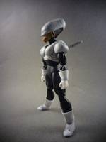 S.H Figuarts Pui Pui (Dragonball Z) Custom Action Figure