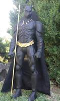 Black Panther (Marvel) Custom Action Figure