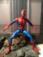 Spider-Man (Spider-Man) Custom Action Figure