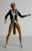 STEALTH Member of L.E.G.I.O.N. (DC Universe) Custom Action Figure