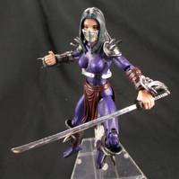 Karai as the Shredder TMNT (Teenage Mutant Ninja Turtles) Custom Action Figure