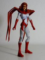 HAWK II Holly Granger Teen Titans East Member Hawk & Dove (DC Universe) Custom Action Figure