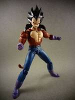 S.H Figuarts Super Sayian 4 Vegeta (Dragonball Z) Custom Action Figure