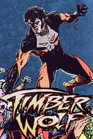TIMBER WOLF Brin Londo Legion of Super-Heroes (DC Universe) Custom Action Figure