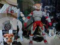 Tygra (Thundercats) Custom Action Figure