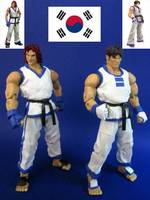 Hwoarang (Tekken) Vs. Kim Kaphwan (FF-KOF) (Tekken) Custom Action Figure