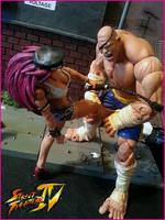 Poison (Street Fighter/Final Fight) (Street Fighter) Custom Action Figure