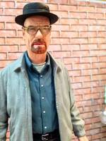 Breaking Bad (Breaking Bad) Custom Action Figure