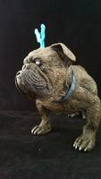 Lockjaw V2 (Marvel Legends) Custom Action Figure