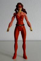 FIREBRAND II Danette Reilly All-Star Squadron Member (DC Universe) Custom Action Figure