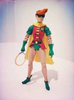 Dark Knight Returns Robin (Carrie Kelley) (DC Universe) Custom Action Figure