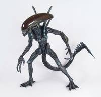 HOT TOYS AVP Alien 12" Figure Repaint (Alien vs Predator) Custom Action Figure