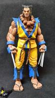 Akumarine (Marvel vs Capcom) Custom Action Figure