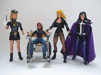 Black Canary V. 3 (Justice League) Custom Action Figure