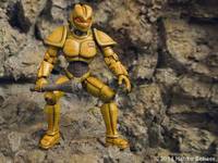 Androwarden Warrior 3D Printed (Original) Custom Action Figure