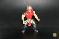 King Lionhart (Masters of the Universe) Custom Action Figure