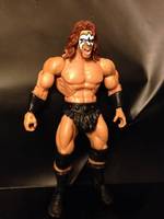 Motu Warrior V.2 (Masters of the Universe) Custom Action Figure