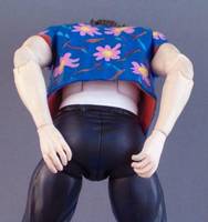 Ace Ventura Pet Detective (Movie Maniacs) Custom Action Figure
