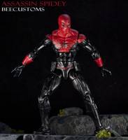 Assassin Spider-Man (Marvel) Custom Action Figure
