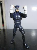 Wildcat (DC Universe) Custom Action Figure