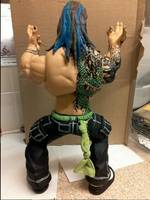 Jeff Hardy (Wrestling) Custom Action Figure