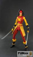 DC Universe Katana (DC Superheroes) Custom Action Figure