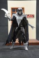 Mask of the the Phantasm Andrea Beaumont (Batman Animated) Custom Action Figure