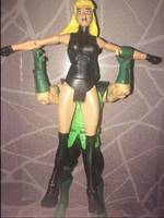 Black Canary (DC Universe) Custom Action Figure