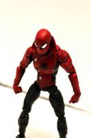 Last Stand Spider-Man (Ezekiel Spider-Man) (Marvel Legends) Custom Action Figure