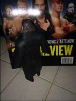 Custom "Sting" Figure (Wrestling) Custom Action Figure