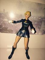 Lady Black Hawk (DC Universe) Custom Action Figure