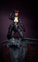 3.75" Catwoman (DC Universe) Custom Action Figure