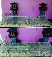 The Walking Dead Prison Front Yard (Finished) (Walking Dead) Custom Diorama / Playset