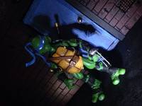 Leonardo (Teenage Mutant Ninja Turtles) Custom Action Figure