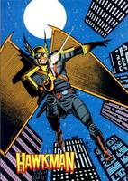 HAWKWORLD HAWKMAN Katar Hol (DC Universe) Custom Action Figure