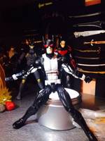 Batman ( JL Gods and Mosters) (Batman) Custom Action Figure