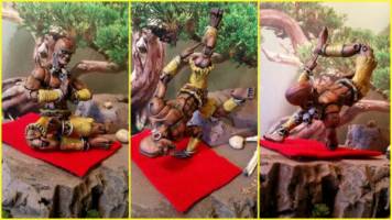 Street Fighter.....Dhalsim (Street Fighter) Custom Action Figure
