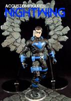 Nightwing (Tactical) (DC Universe) Custom Action Figure