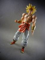 S.H Figuarts Broly (Dragonball Z) Custom Action Figure