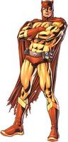 Catman (DC Infinite Heroes) Custom Action Figure