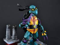 Slash (Teenage Mutant Ninja Turtles) Custom Action Figure